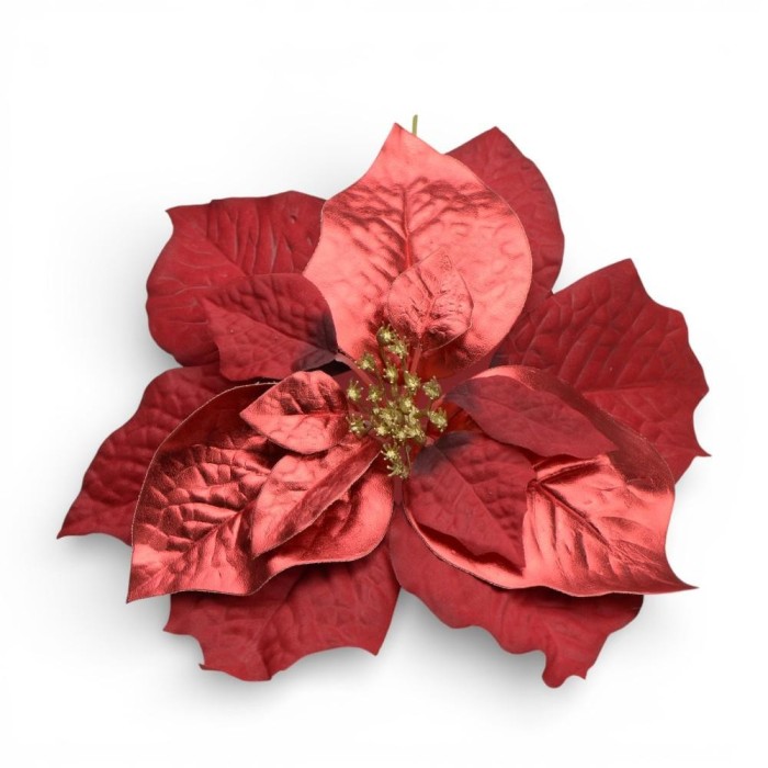 RAMETTO STELLA NATALE D.24.5 STELO ROSSO